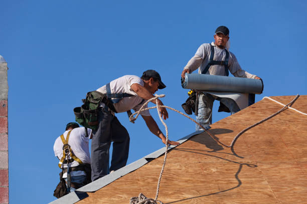 Best Gutter Installation and Roofing  in Hazel Park, MI