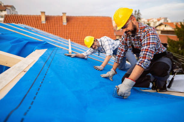 Best New Roof Installation  in Hazel Park, MI