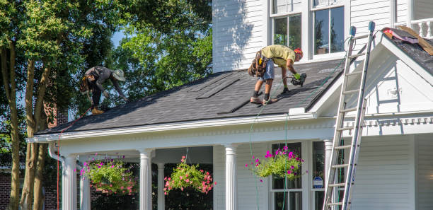 Best Commercial Roofing Services  in Hazel Park, MI