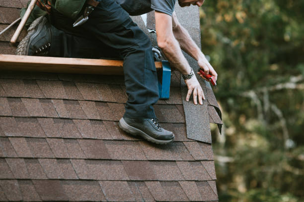 Best Residential Roofing Contractor  in Hazel Park, MI