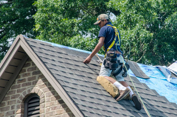 Best Affordable Roofing Company  in Hazel Park, MI